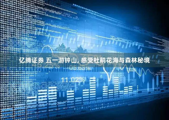 亿腾证券 五一游钟山, 感受杜鹃花海与森林秘境