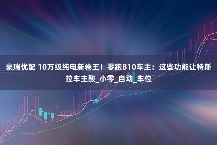 豪瑞优配 10万级纯电新卷王！零跑B10车主：这些功能让特斯拉车主酸_小零_自动_车位